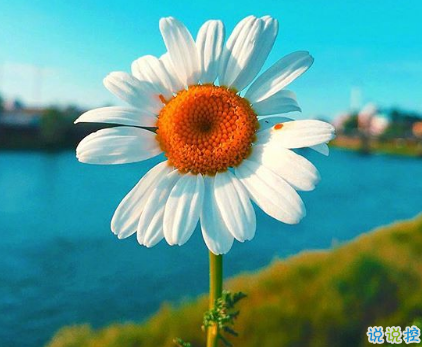 对爱情彻底死心的伤感说说2018 一句话让人瞬间落泪的爱情说说2