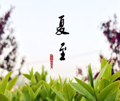 2021夏至到来的心情说说 夏至发朋友圈的说说大全1