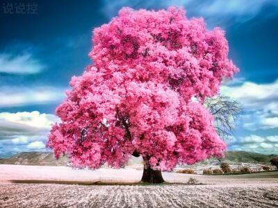 伤感唯美图片说说，唯美伤感说说配图6