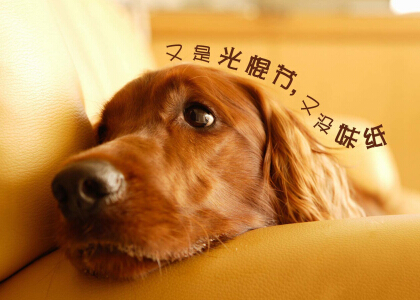 光棍节说说带图片，光棍节图片说说大全2