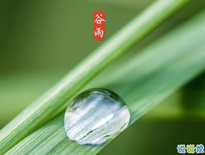 2020谷雨节气唯美说说配图 谷雨祝福唯美暖人心1