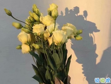 爱情简单美好的句子 超暖心的爱情说说发朋友圈1