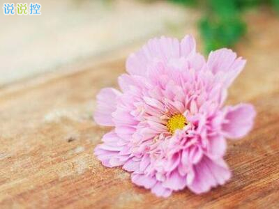 朋友圈个性说说，必点赞的朋友圈说说