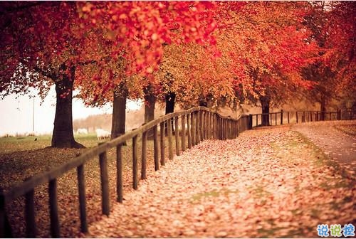 简单一句话爱情说说心情短语 2019发朋友圈的经典爱情说说2