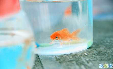 艾特自己的自嘲句子说说文字控 有关艾特自己的个性说说1